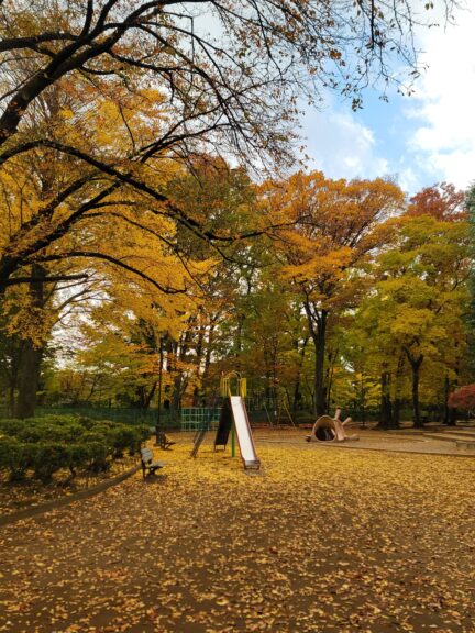 紅葉だより　②上水公園