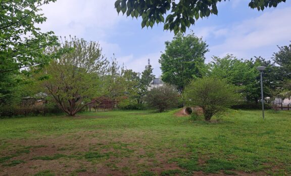 きつねっぱら公園　北側エリアの春