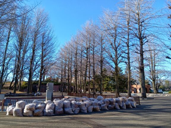 中央公園の冬景色