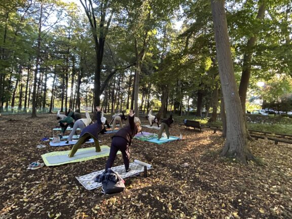 秋空の下で深呼吸。パークヨガイベントを開催しました！