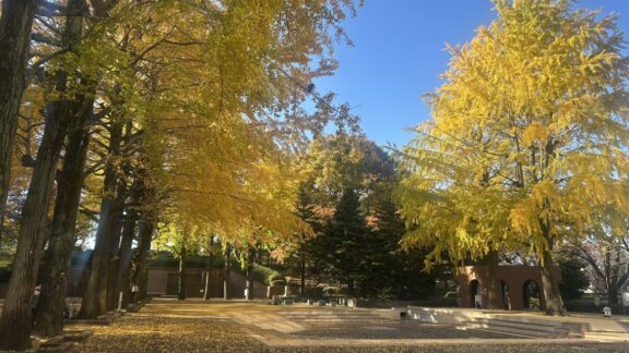 紅葉だより　①中央公園