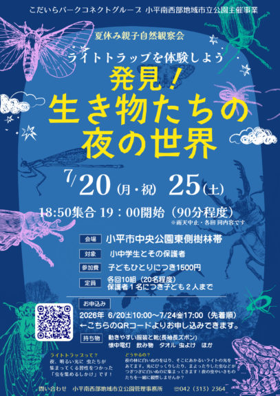 夏休み親子自然観察会　開催のおしらせ